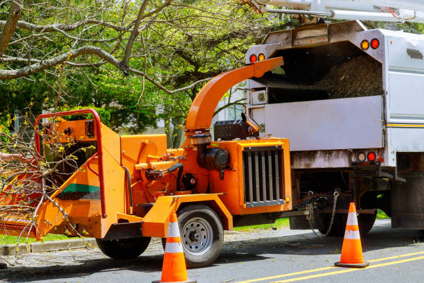 Best Commercial Tree Services  in Parma, ID